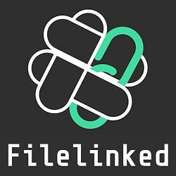 FileLinked Codes